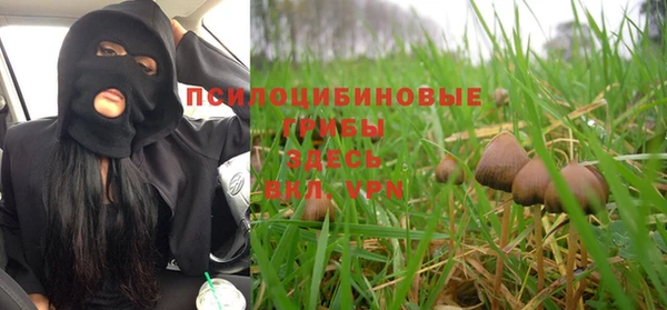 ALPHA PVP Арсеньев