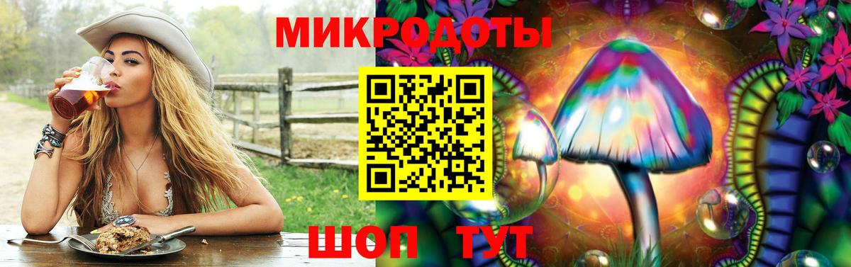 Галлюциногенные грибы Cubensis  Псилоцибиновые грибы прущие грибы  Белорецк  Вход с VPN 