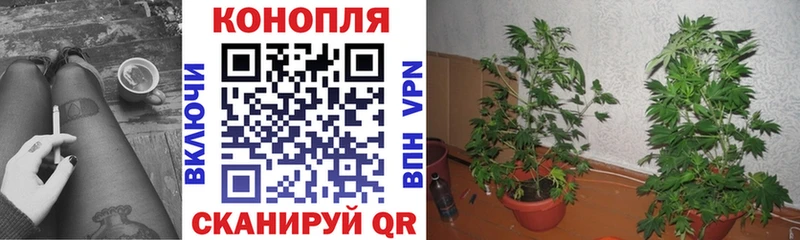 Бошки марихуана SATIVA & INDICA  Белорецк 